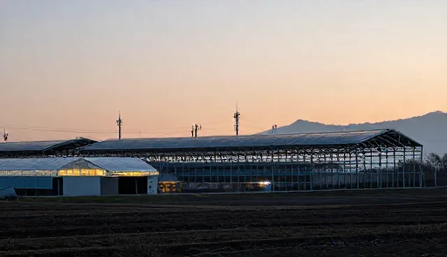 提升学习动力的5个检查要点与维护建议